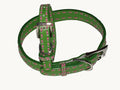 A Pets World 03011303-10 Leather Dog Collar- Green-Hot Pink Saddle Sti