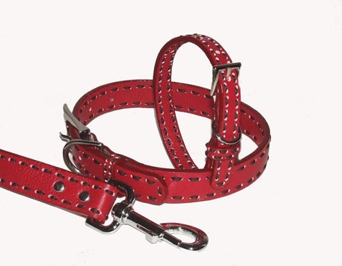 A Pets World 03011304-16 Leather Dog Collar- Red-Chocolate Saddle Stit